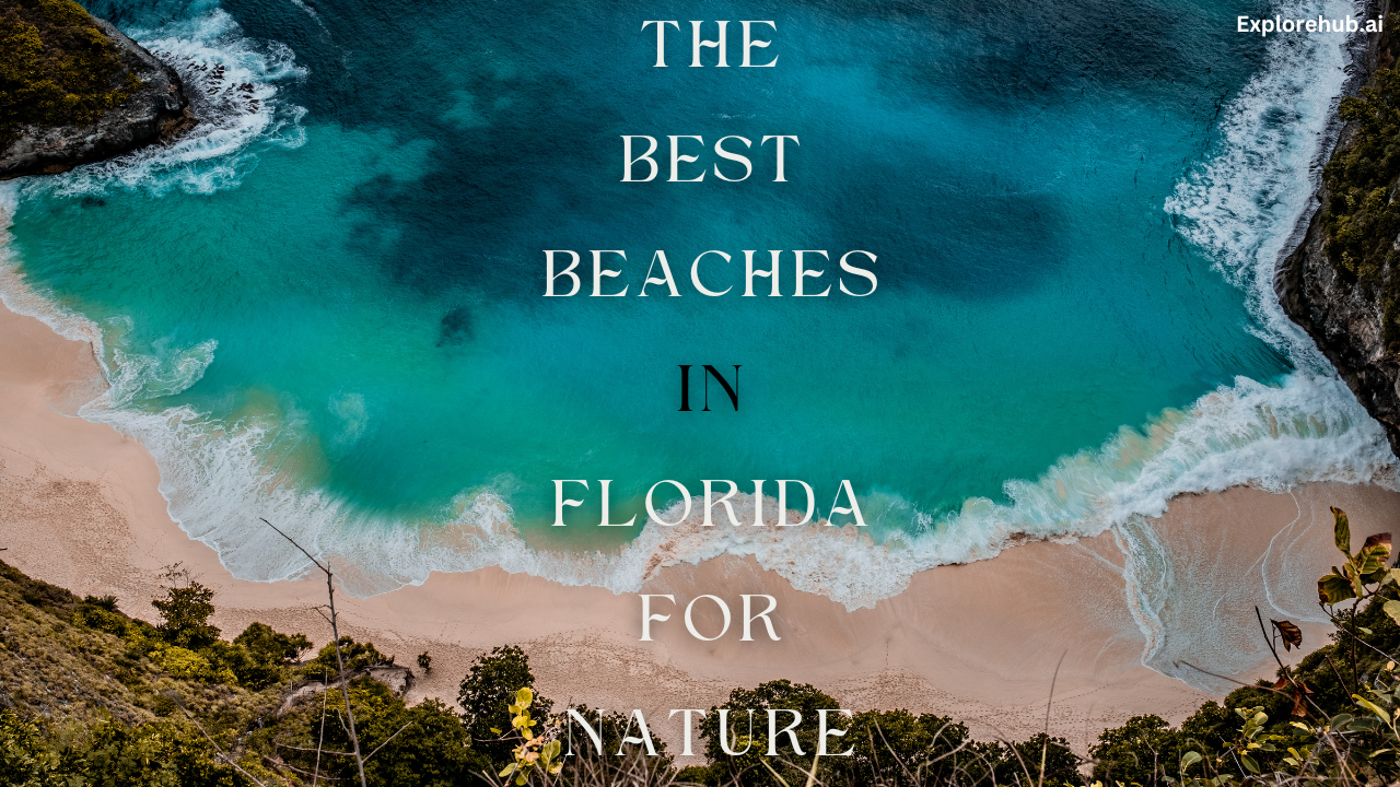 The Best Beaches in Florida for Nature Lovers explorehub