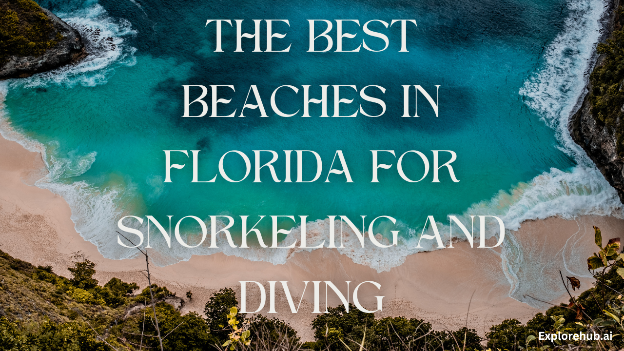 The Best Beaches in Florida for Snorkeling and Diving explorehub