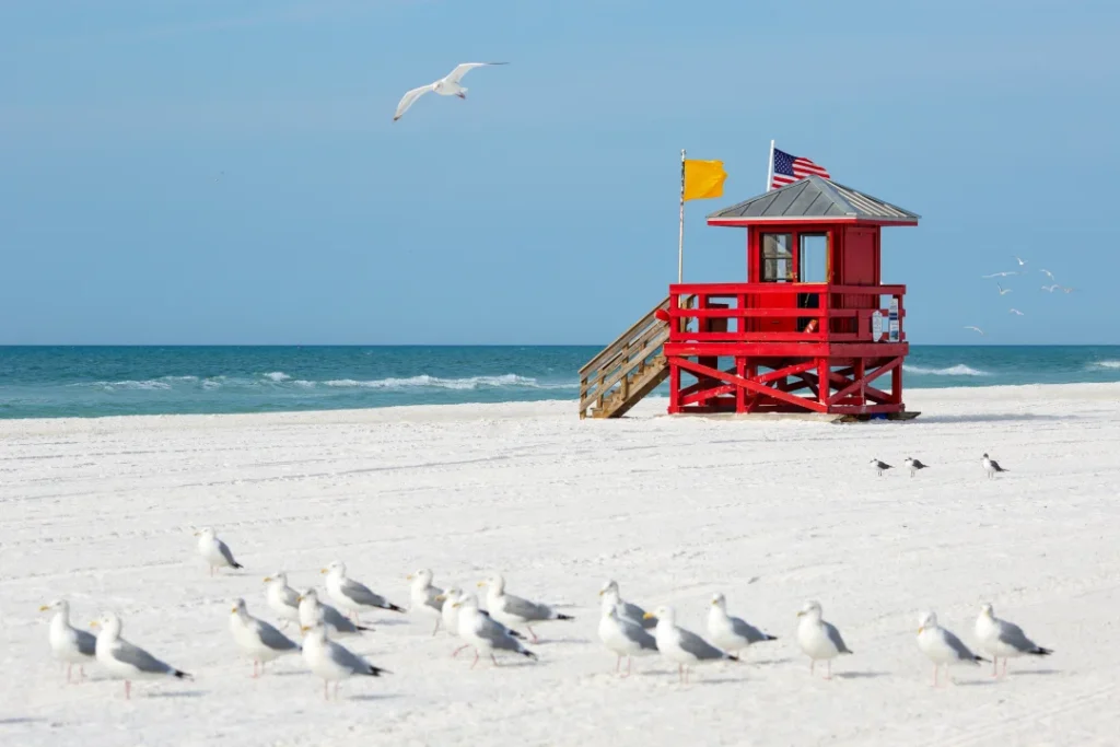 Siesta Key Beach explorehub