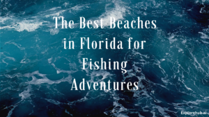 Read more about the article The Best Beaches in Florida for Fishing Adventures