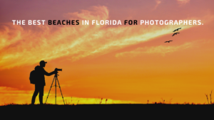 Read more about the article The Best Beaches in Florida for Photographers