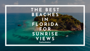 Read more about the article The Best Beaches in Florida for Sunrise Views