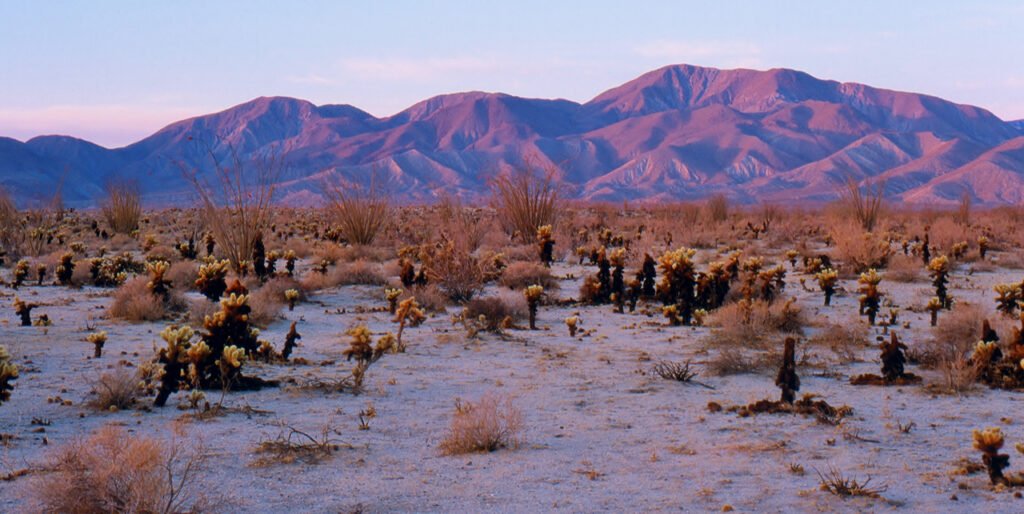 Anza-Borrego Desert State Park explorehub.ai