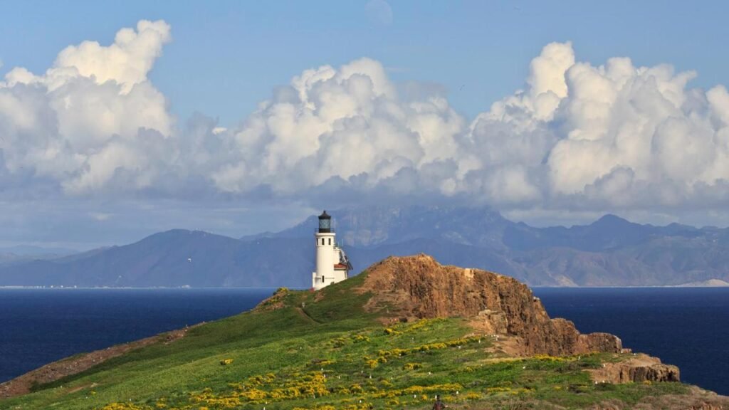 Channel Islands National Park explorehub.ai.jpg