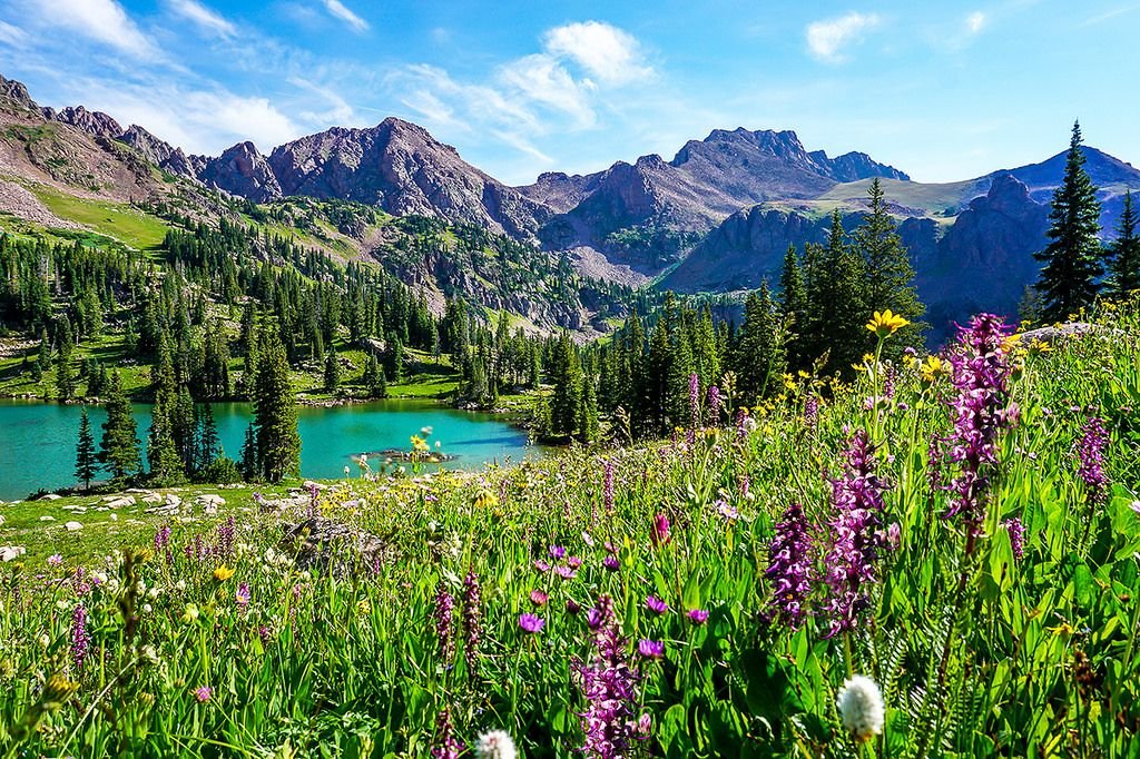 Diverse Landscapes explorehub.ai