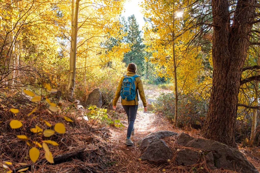 Fall Hikes explorehub.ai
