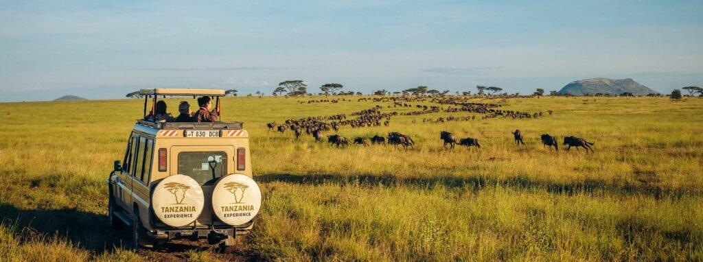Serengeti National Park, Tanzania