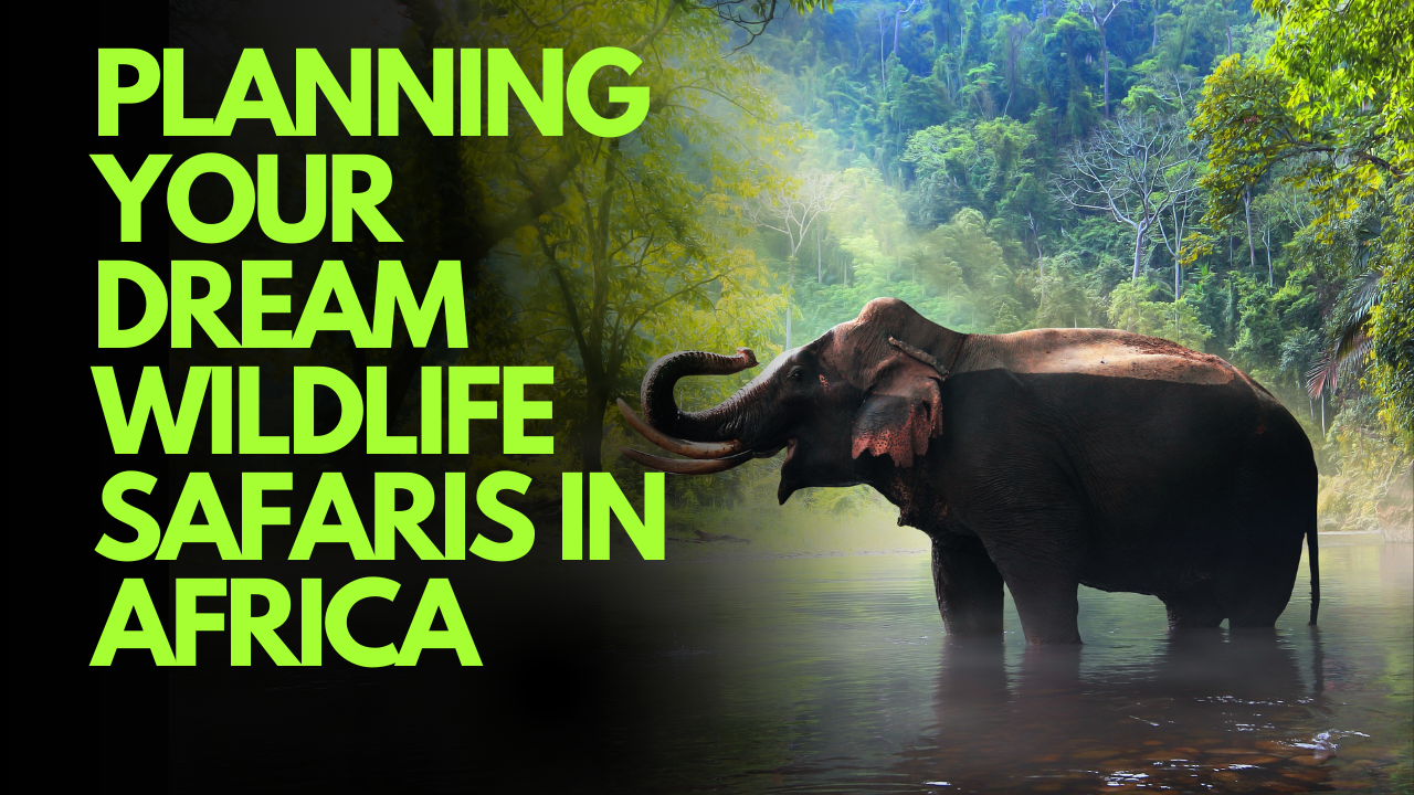 Planning Your Dream Wildlife safaris in Africa