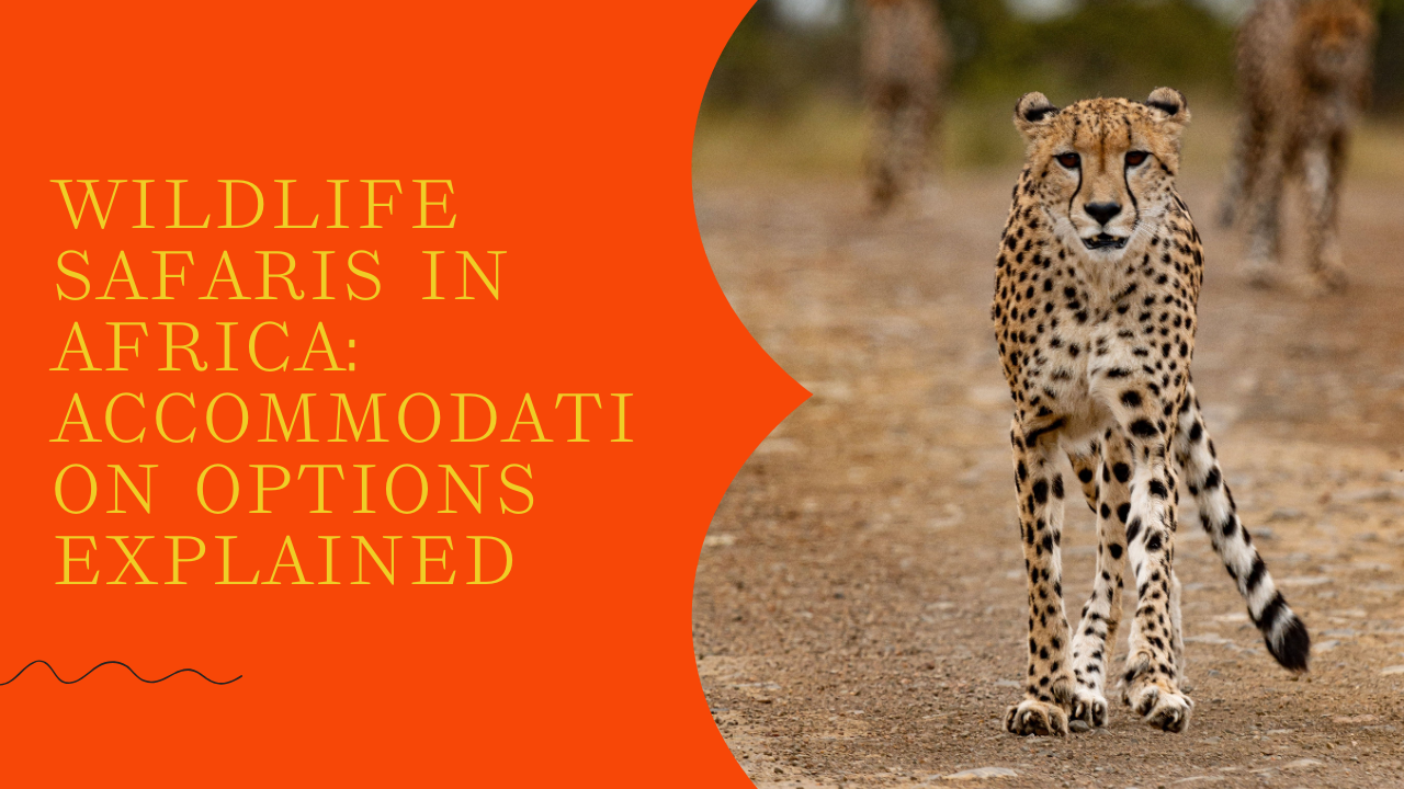 Wildlife Safaris in Africa