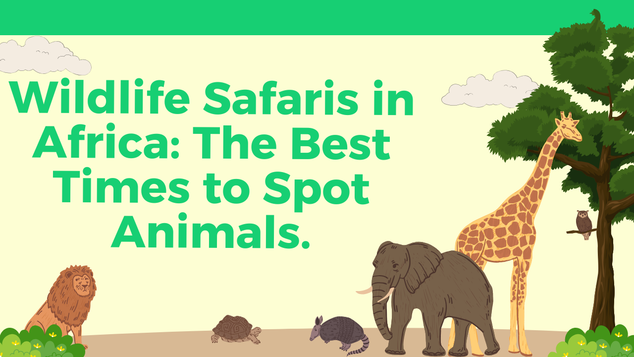 Wildlife Safaris in Africa
