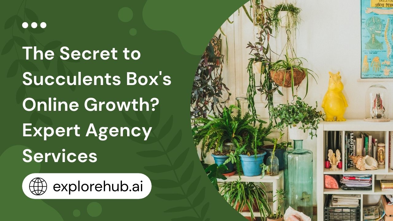 Succulents Box 01