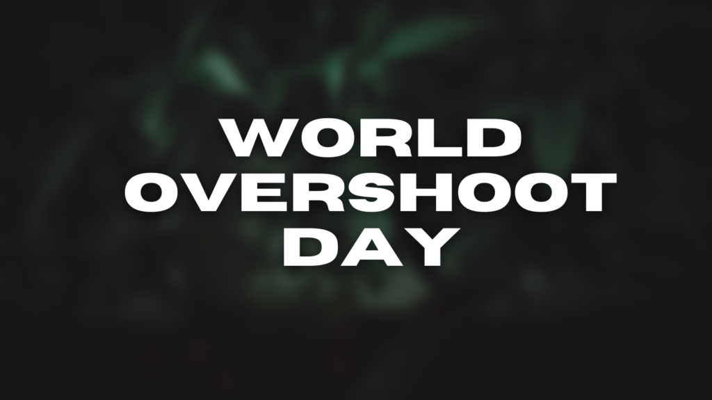 Who Should Use RocketReach