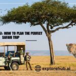 Go2Africa (US): How to Plan the Perfect Safari Trip